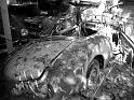 Autofriedhof - 206